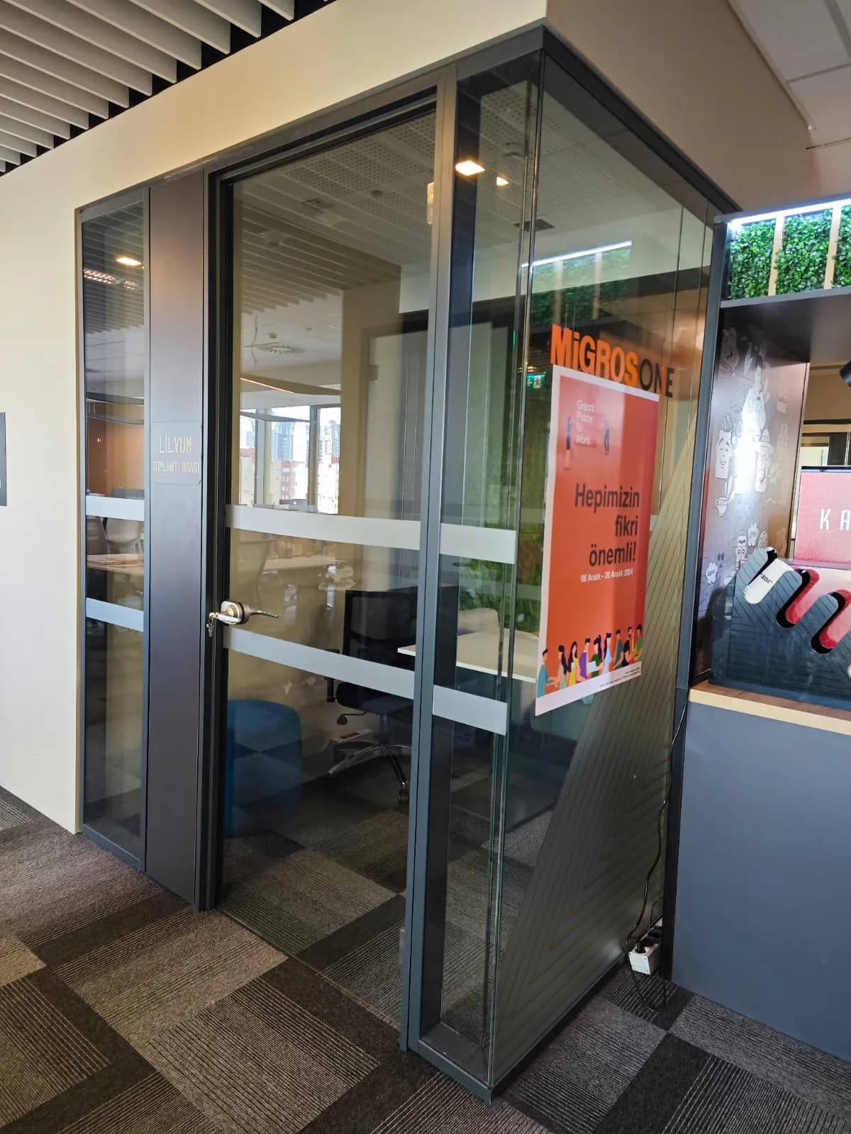 Frameless Door View 2