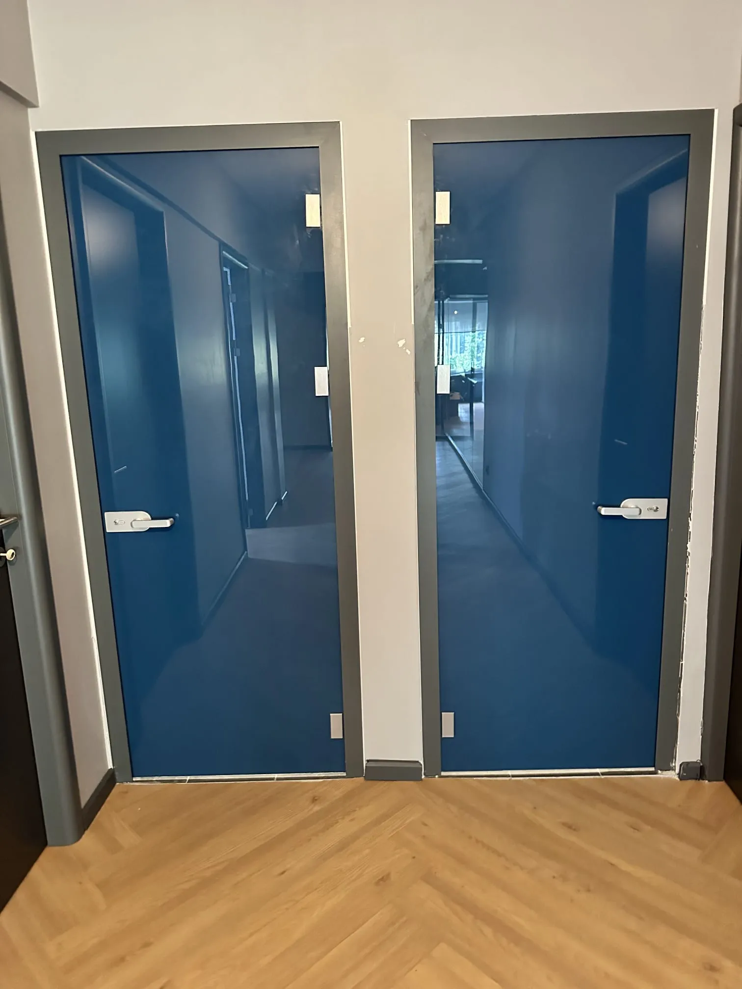 Frameless Door View 3