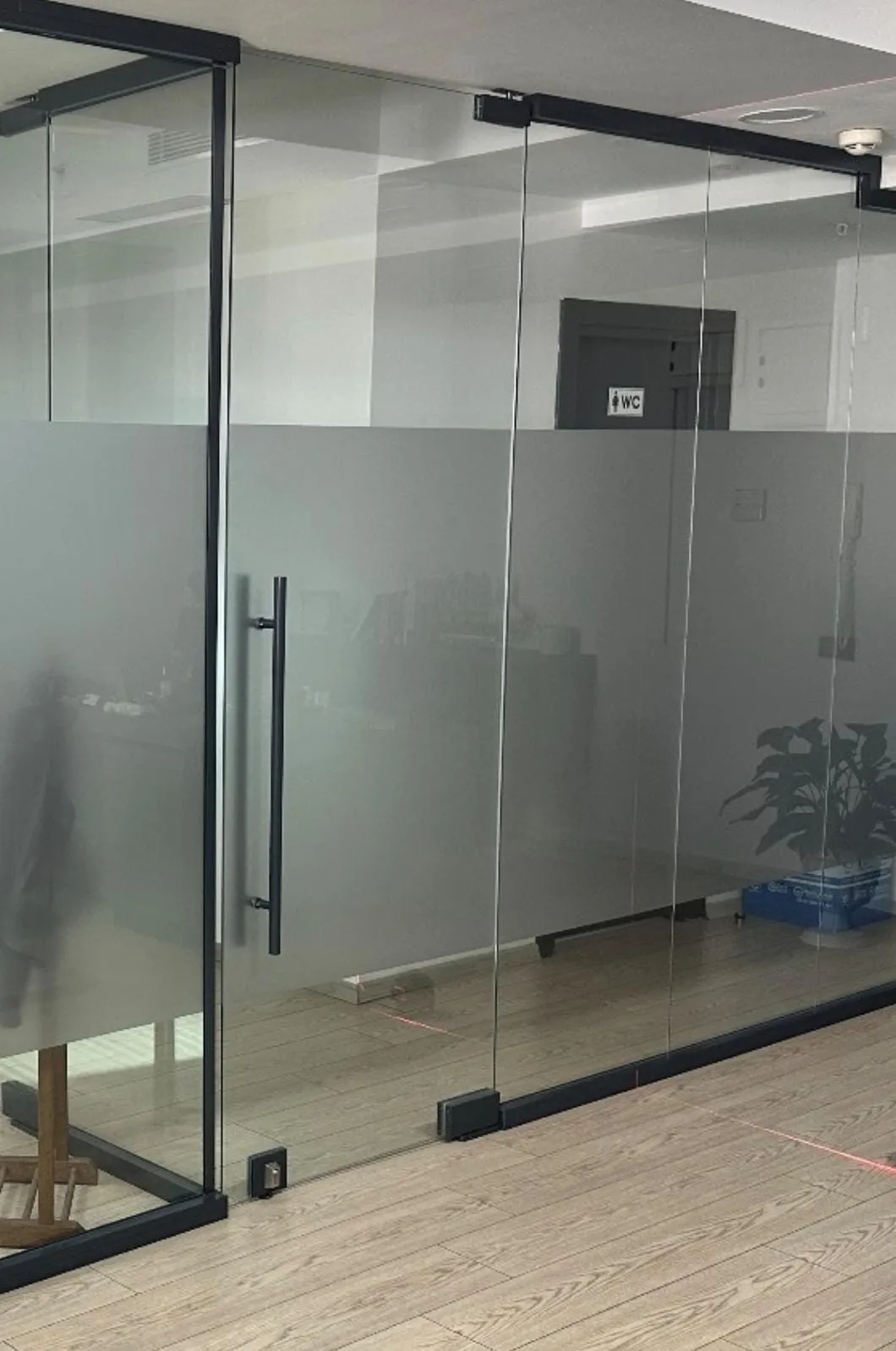 Pivot Door View 2