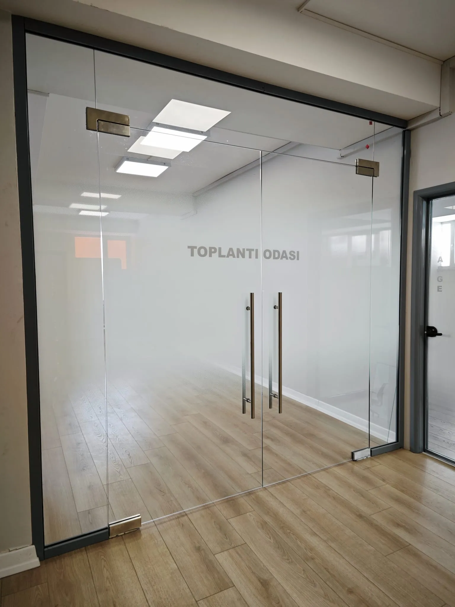 Pivot Door View 3